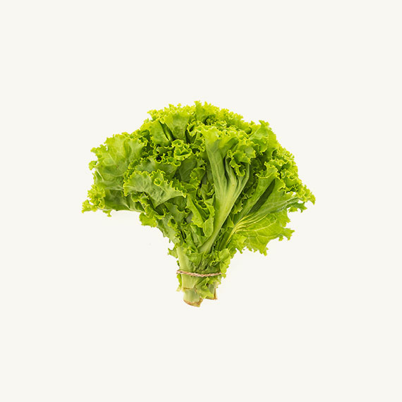 Lettuce